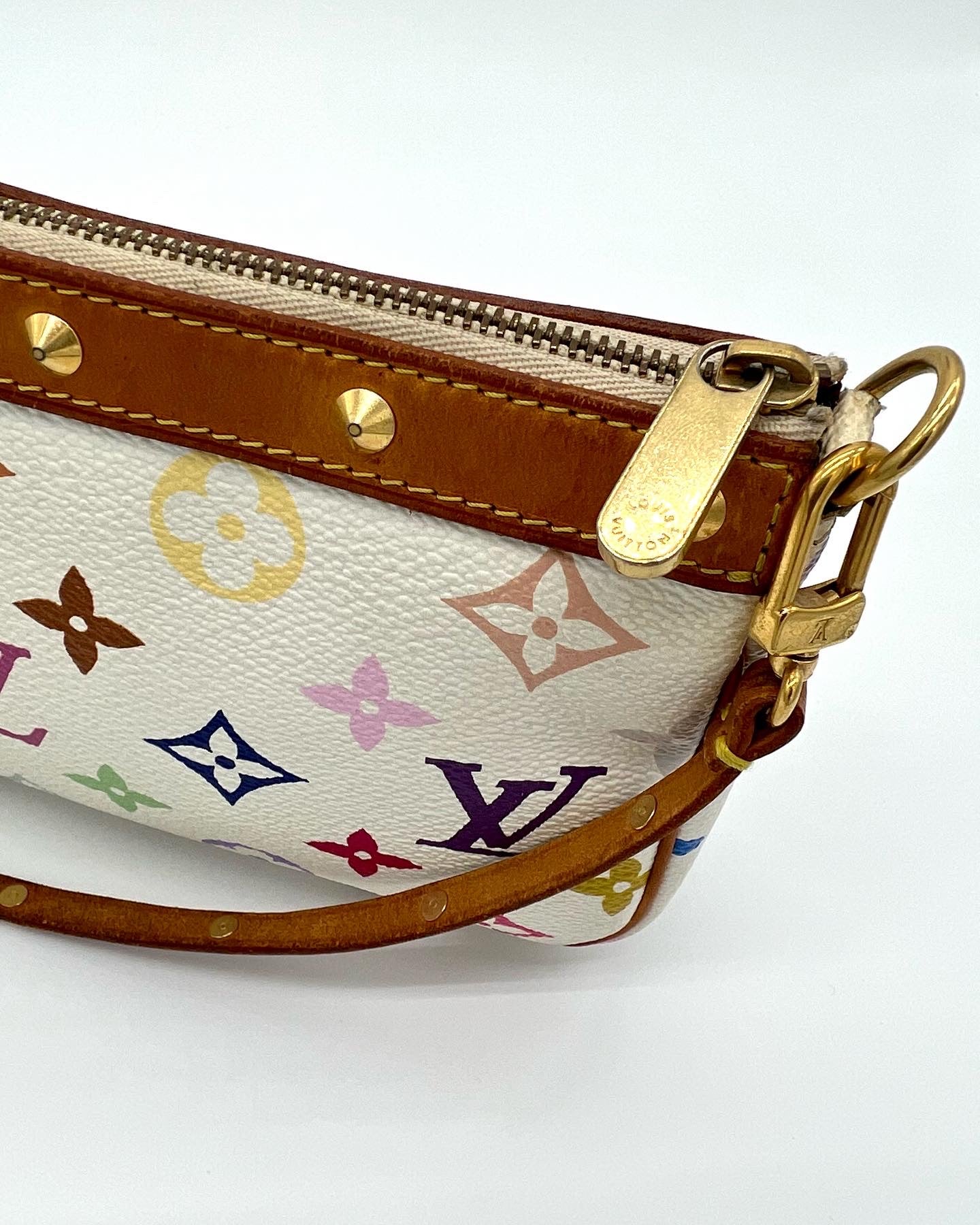 Louis Vuitton Multicolor Murakami Bag